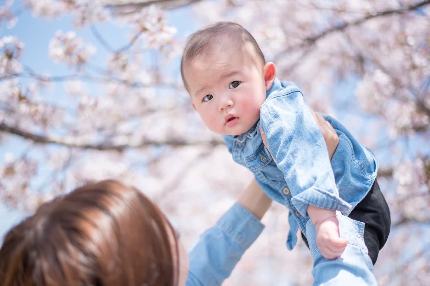 桜を背にして抱き上げられた赤ちゃん